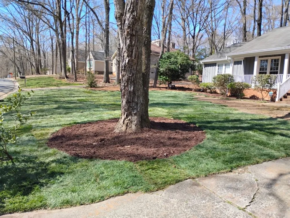 Custom lawn care service for year-round maintenance in Fort Mill, SC by Soto's Green Earth Landscaping
