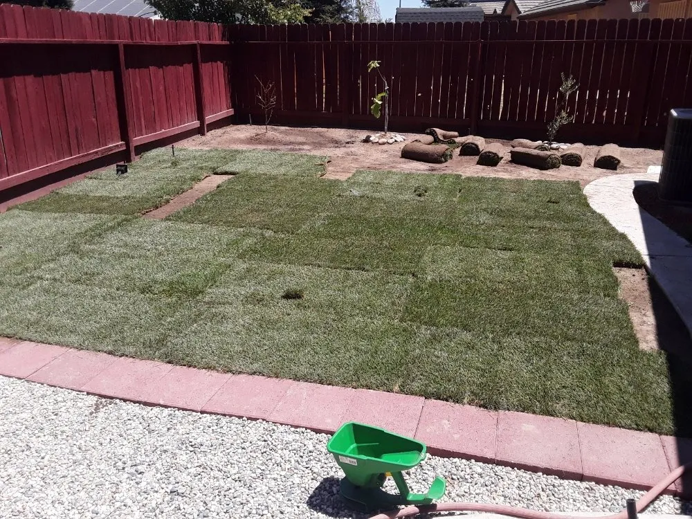 Trusted yard cleanup service for beautiful yards in Fresno, CA by Sotos Landscape