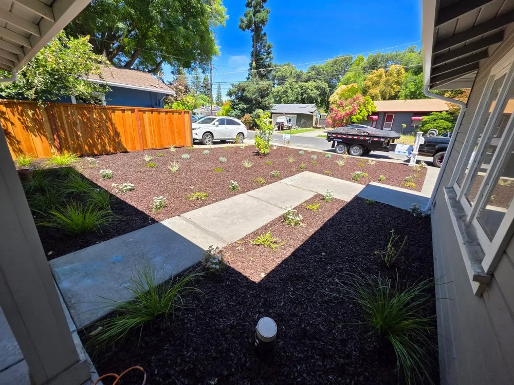 Local yard cleanup service experts serving Manteca, CA - Soto’s Landscape