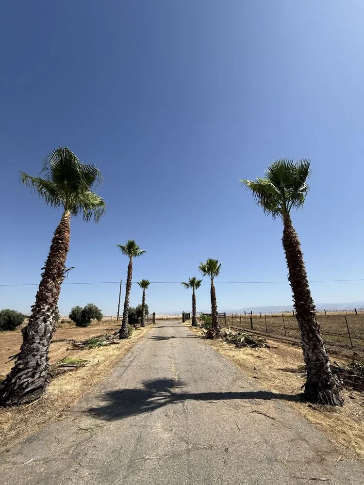 Local landscaping services in Sanger, CA - Soto’s Landscaping & Tree Service