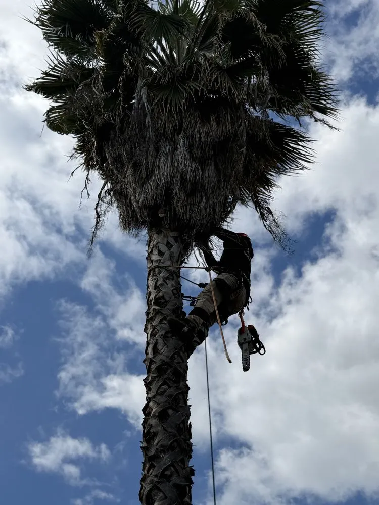 Affordable residential landscaping for residential properties across Sanger, CA - Soto’s Landscaping & Tree Service
