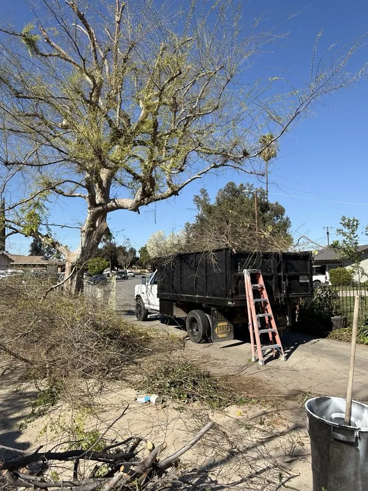 Trusted lawn care service for homes across Sanger, CA - Soto’s Landscaping & Tree Service