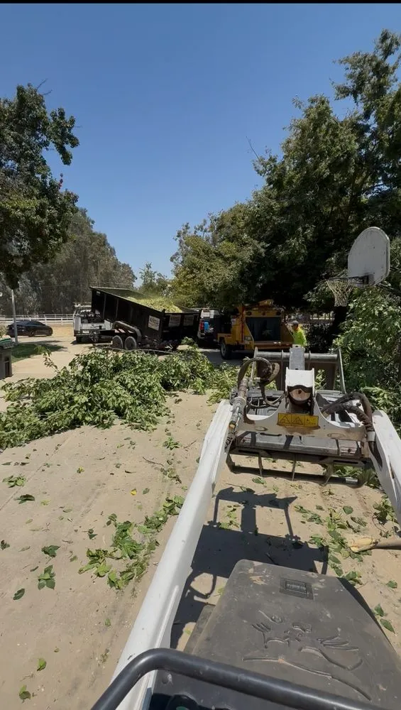 Top-rated yard maintenance experts serving Sanger, CA - Soto’s Landscaping & Tree Service