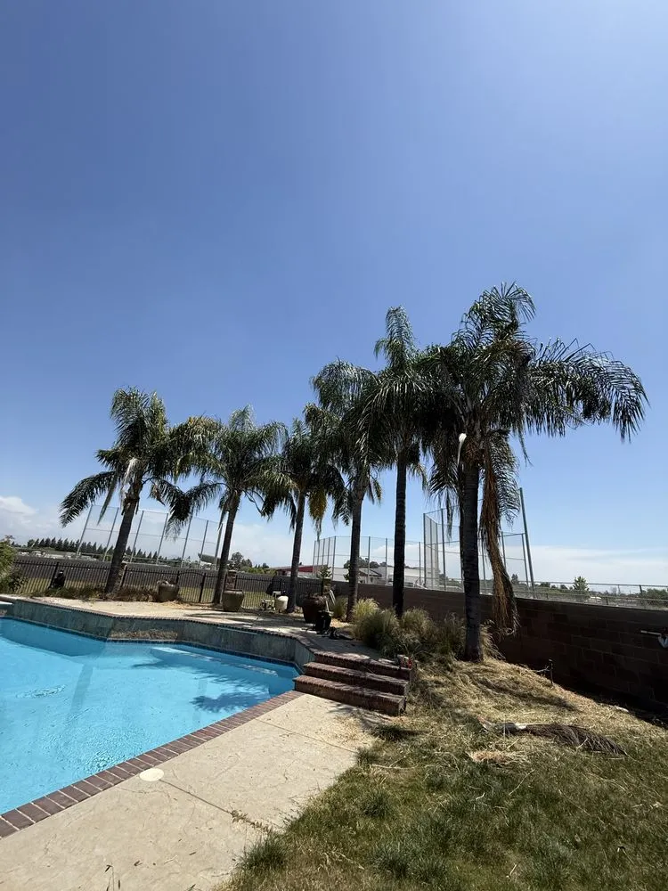 Professional landscaping services for year-round maintenance in Sanger, CA by Soto’s Landscaping & Tree Service