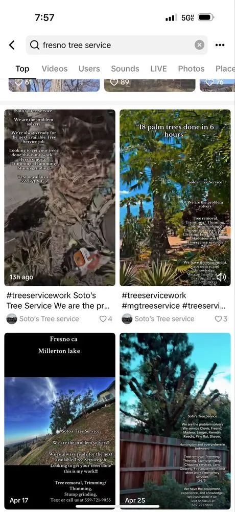 Professional garden landscaping experts serving Sanger, CA - Soto’s Landscaping & Tree Service