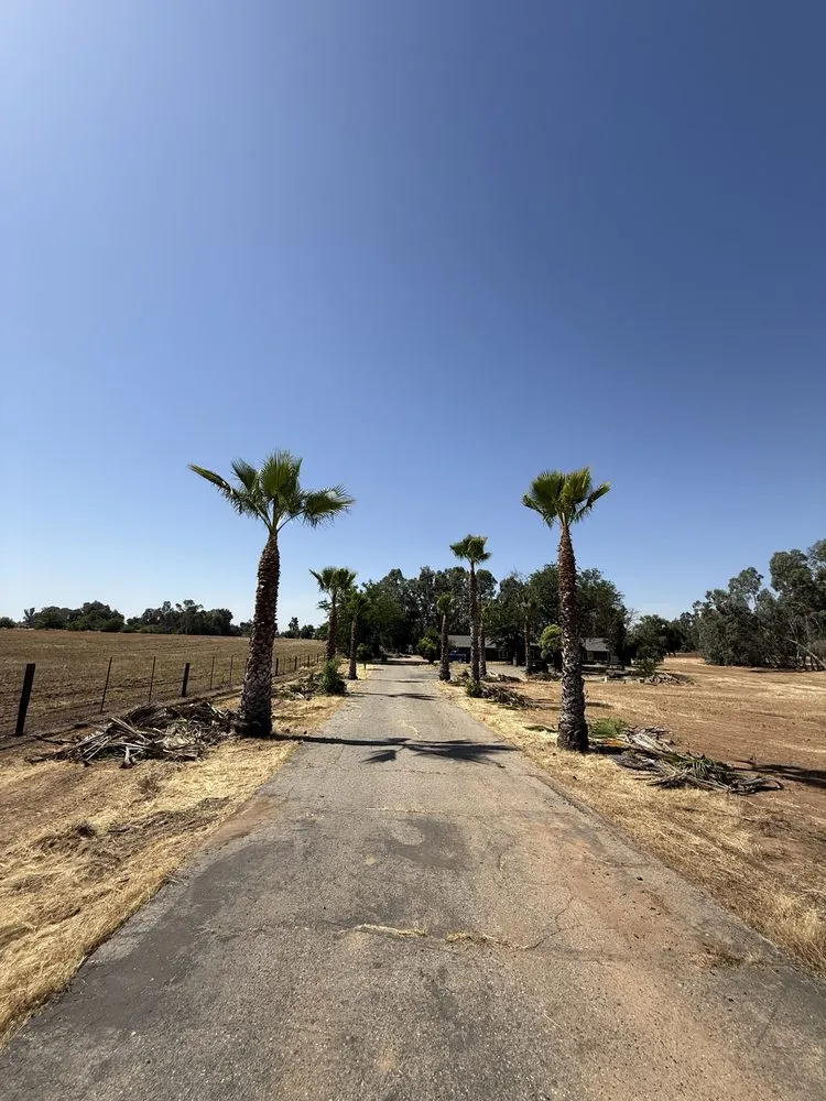 Expert landscape installation in Sanger, CA - Soto’s Landscaping & Tree Service