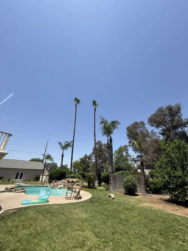 Trusted residential landscaping in Sanger, CA by Soto’s Landscaping & Tree Service