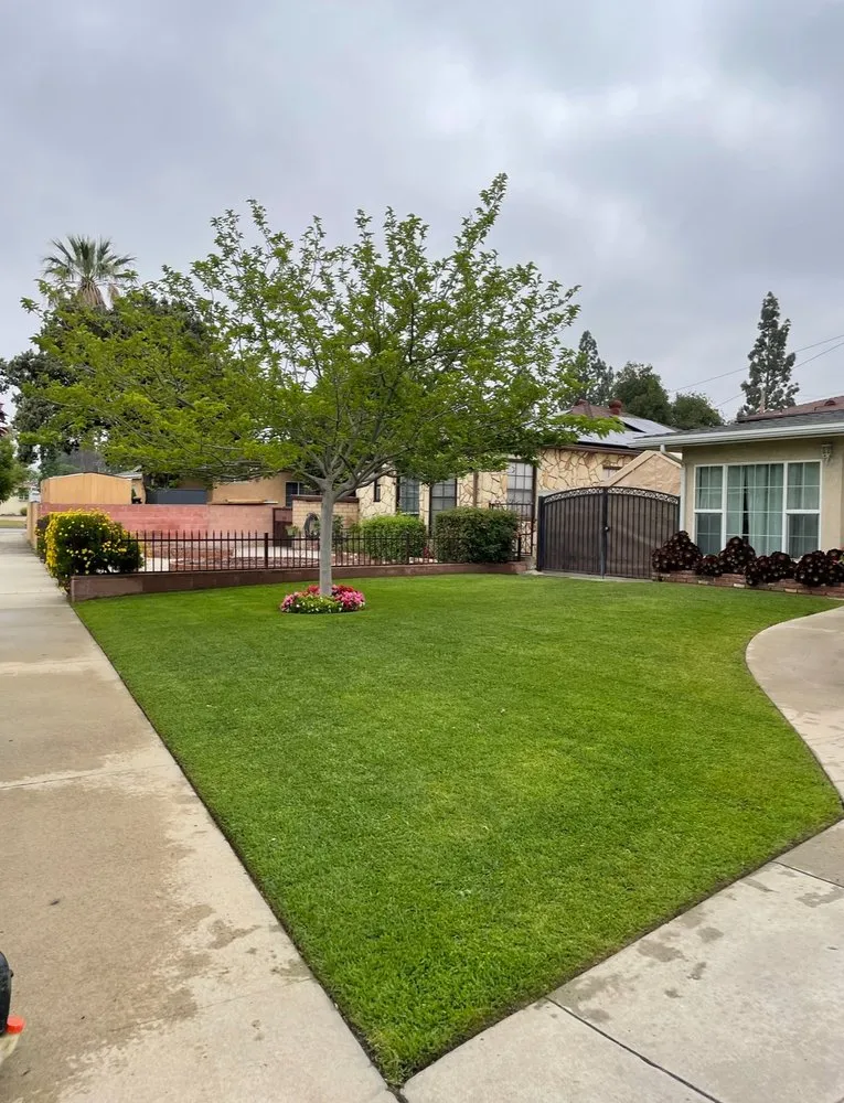 Top-rated residential landscaping experts serving Bellflower, CA - Soto’s Landscaping and Maintenance