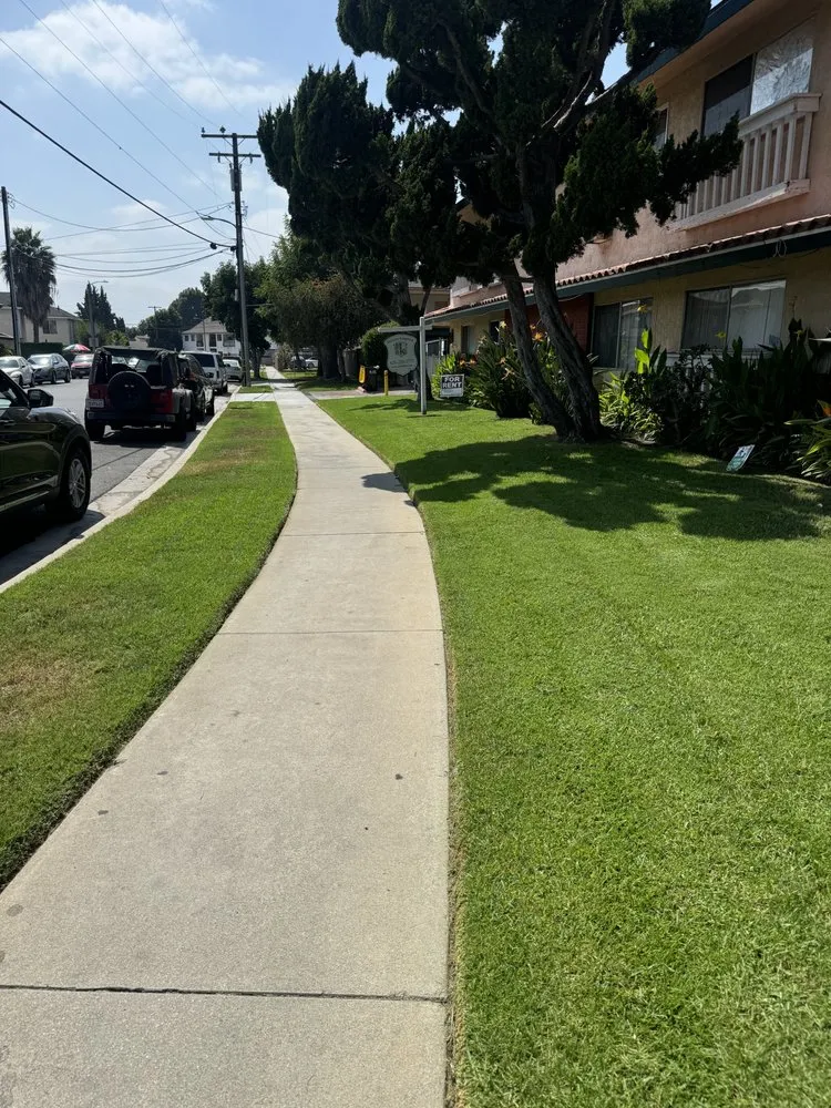 Trusted yard maintenance experts serving Bellflower, CA - Soto’s Landscaping and Maintenance