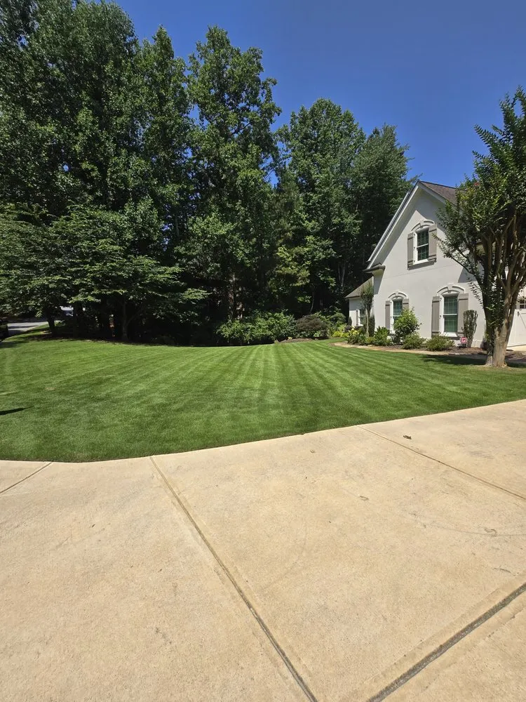 Custom yard cleanup service in Bethlehem, GA by Sotos Landscaping