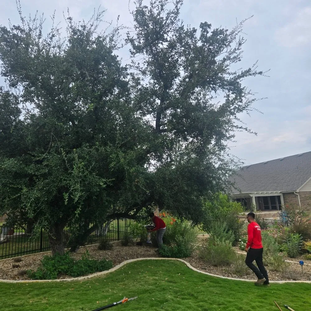 Local landscape installation in San Antonio, TX by Soto's Lawn and Tree Service