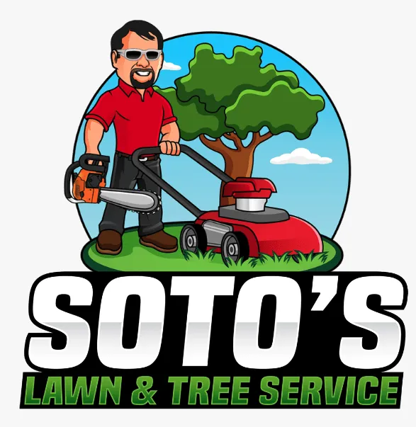 Affordable residential landscaping in San Antonio, TX by Soto's Lawn and Tree Service