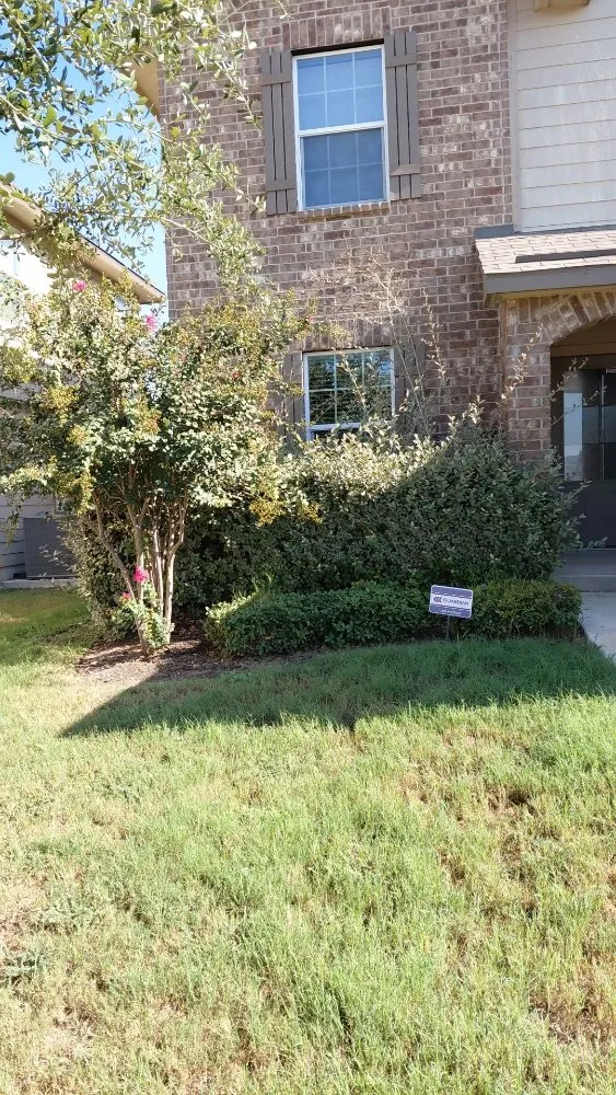 Affordable yard cleanup service experts serving San Antonio, TX - Soto's Lawn and Tree Service