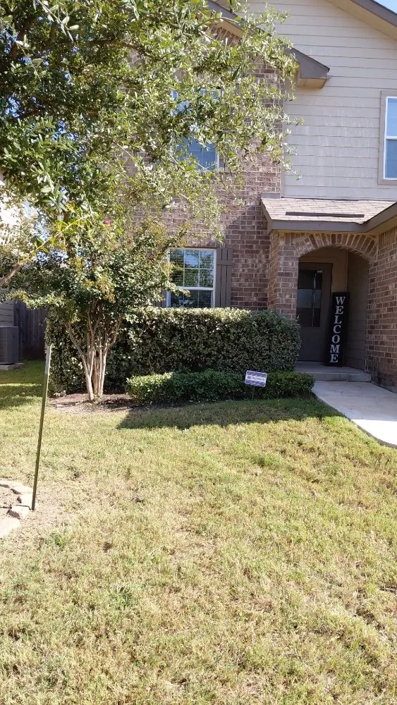 Reliable outdoor landscaping in San Antonio, TX by Soto's Lawn and Tree Service