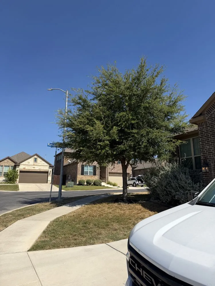 Trusted landscape installation in San Antonio, TX by Soto's Lawn and Tree Service