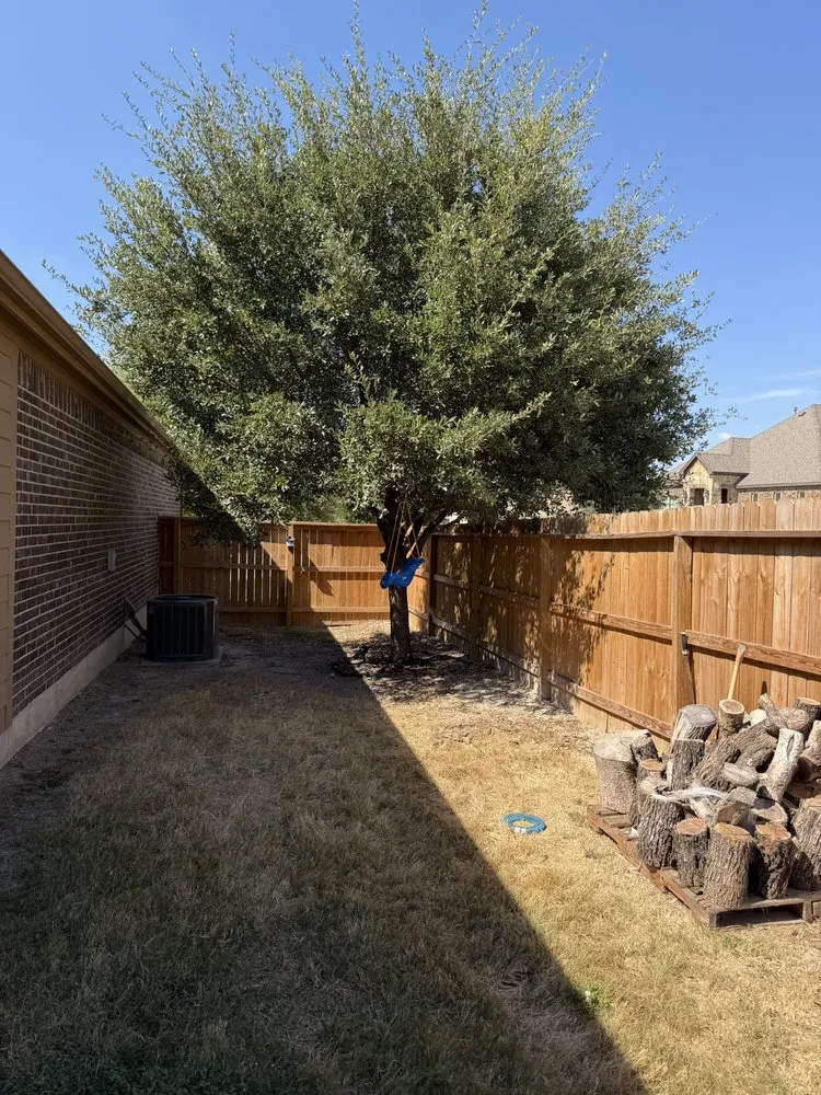 Custom yard cleanup service experts serving San Antonio, TX - Soto's Lawn and Tree Service