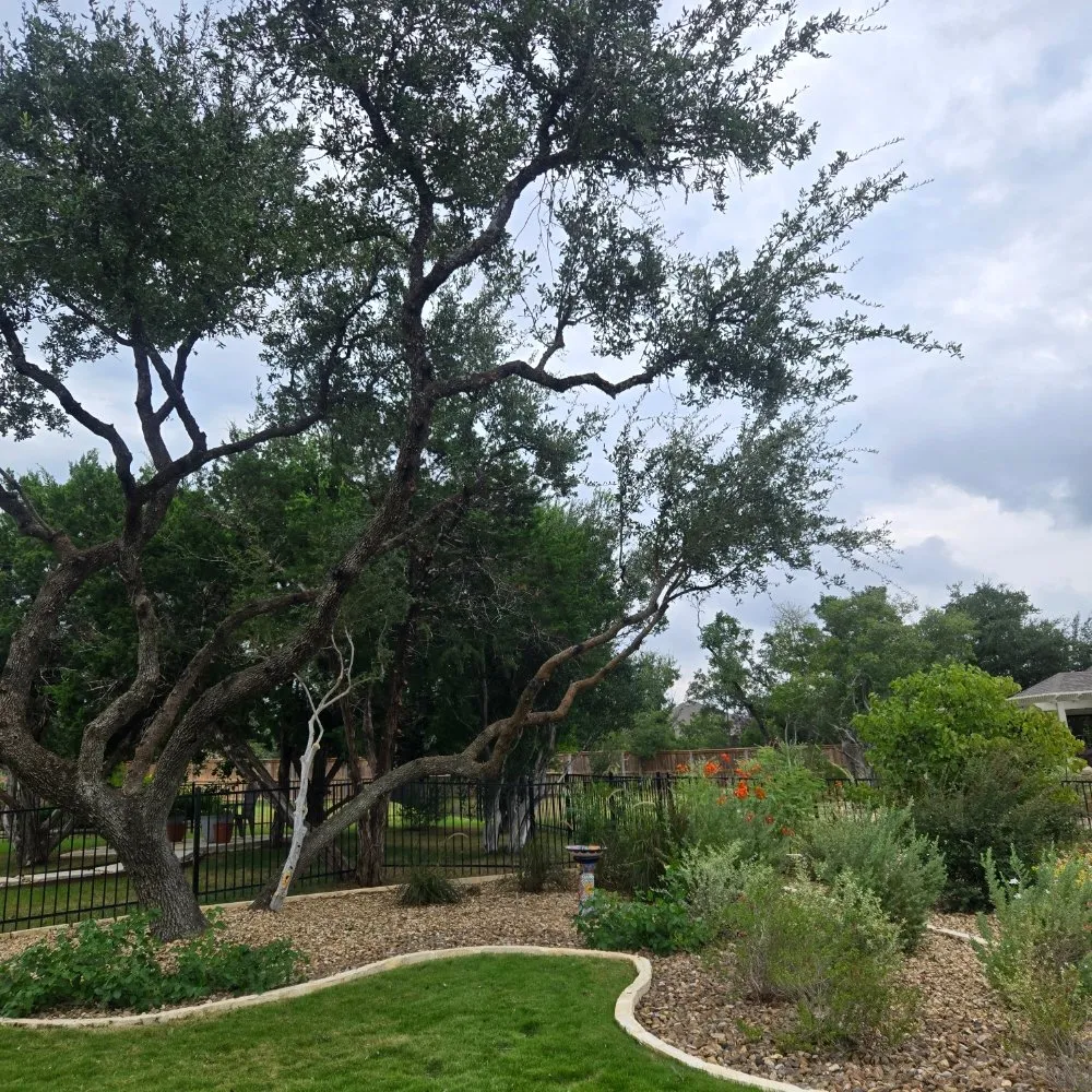 Professional lawn care service for outdoor upgrades in San Antonio, TX by Soto's Lawn and Tree Service