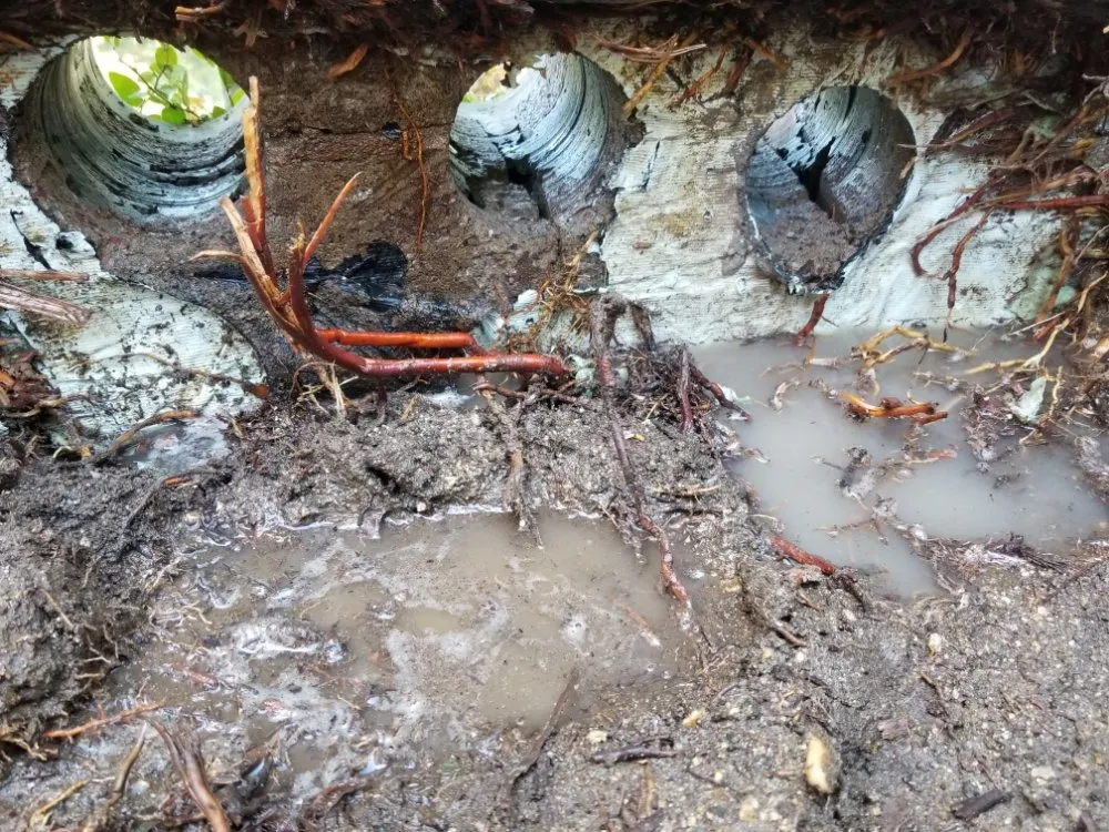 Professional landscaping services experts serving Apple Valley, CA - Soto's Quality Construction