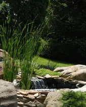Local landscaping services near you in Birdsboro, PA by Sottosanti Lawn Care