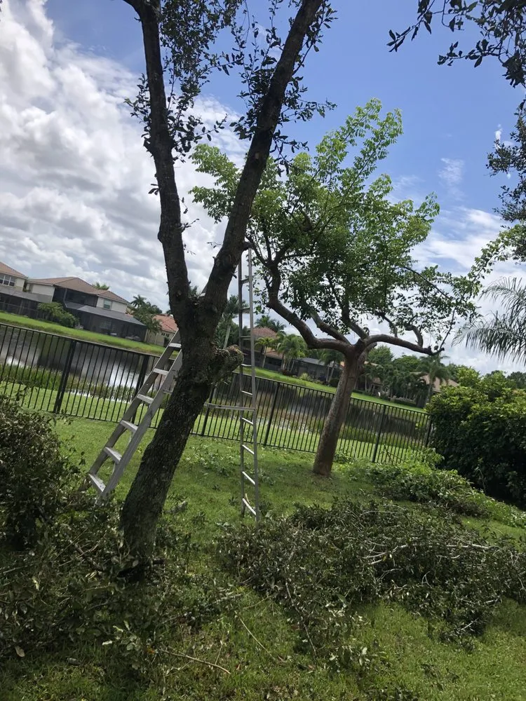 Top-rated garden landscaping in Lantana, FL by Souffrant’s Lawncare