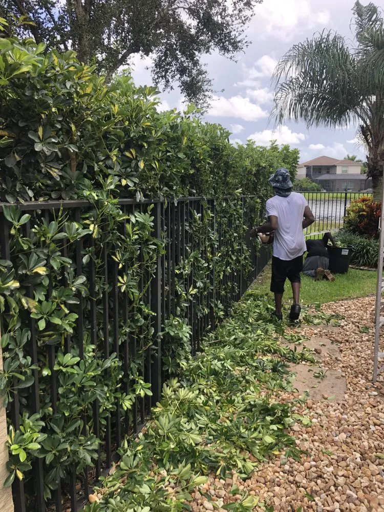 Professional lawn care service in Lantana, FL by Souffrant’s Lawncare