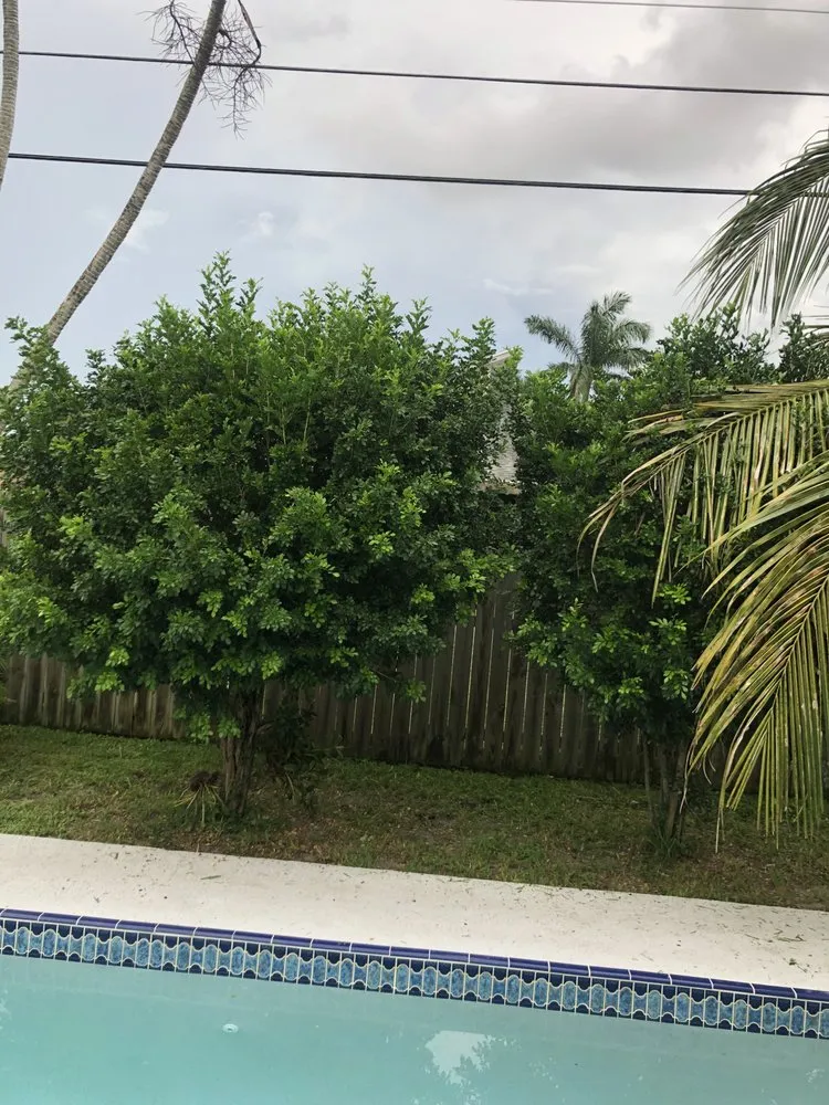 Affordable lawn mowing service experts serving Lantana, FL - Souffrant’s Lawncare