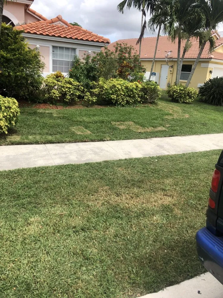 Affordable landscaping services experts serving Lantana, FL - Souffrant’s Lawncare