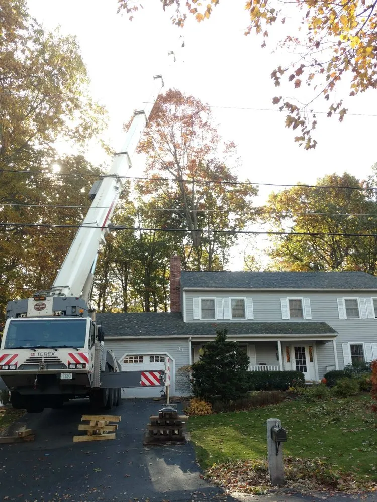 Top-rated yard maintenance in Brookline, NH by Souhegan Valley Tree Service