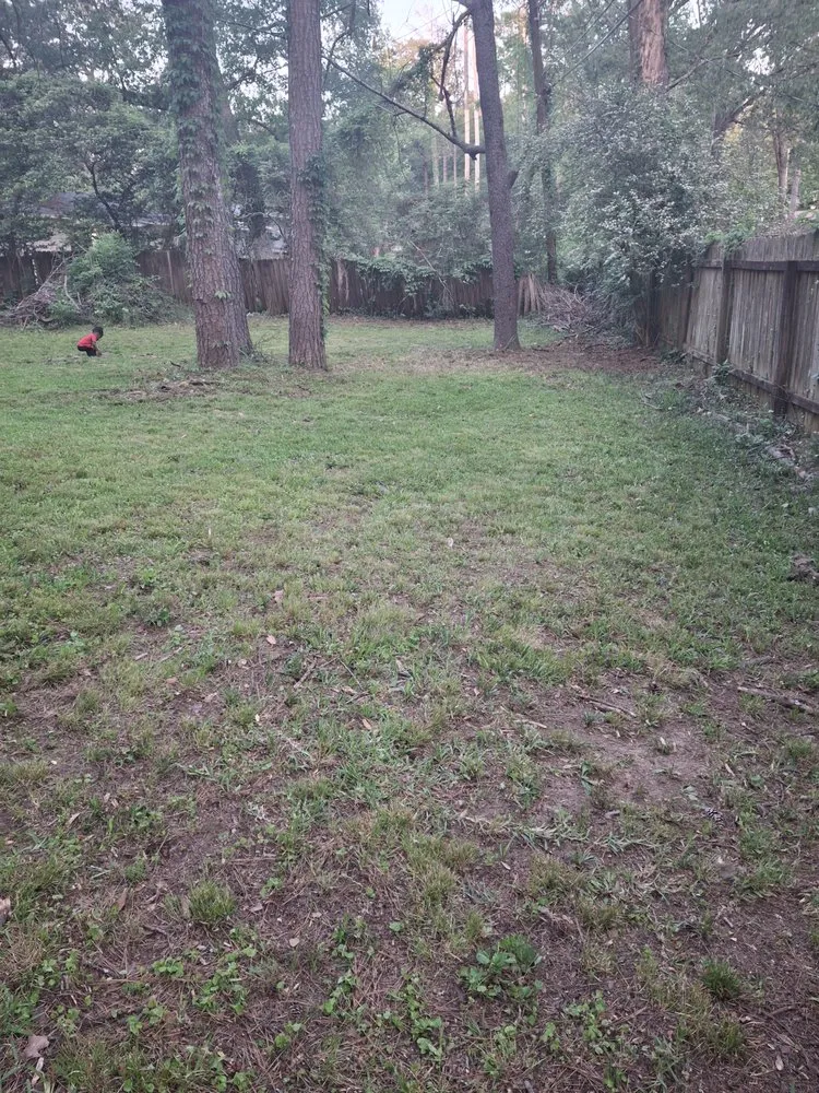 Expert yard cleanup service for homes in Jackson, MS by Soul City Lawn Care