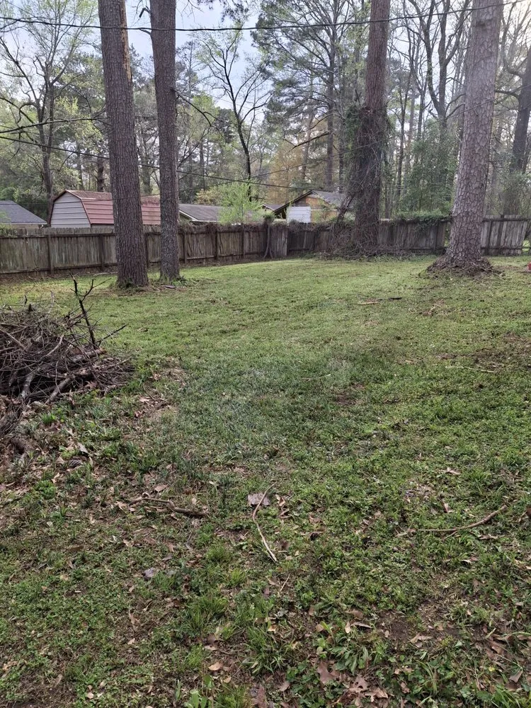 Local yard maintenance experts serving Jackson, MS - Soul City Lawn Care