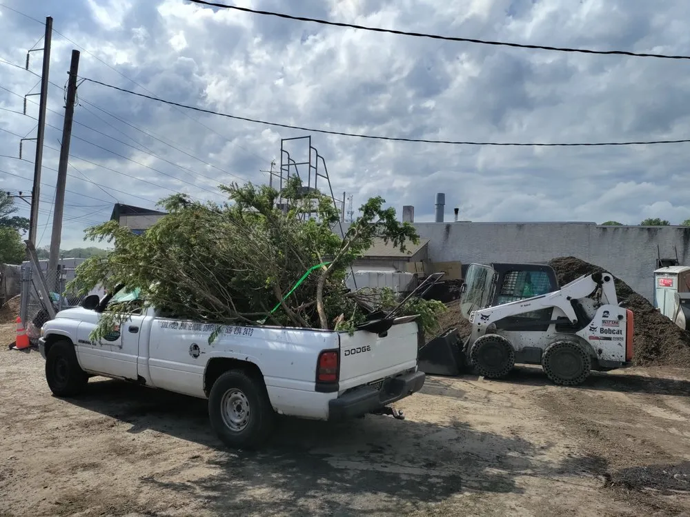 Expert landscaping services for homes in Lindenwold, NJ by Soul Paseo