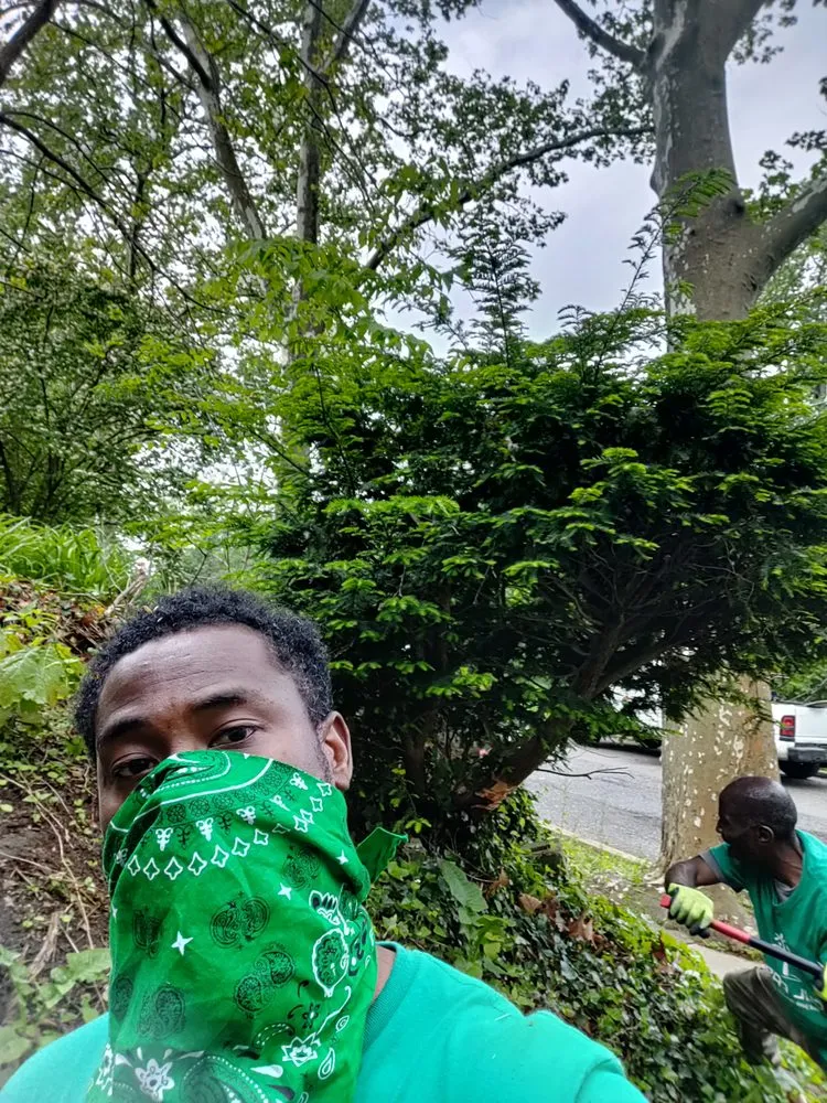 Custom lawn care service for beautiful yards in Lindenwold, NJ by Soul Paseo