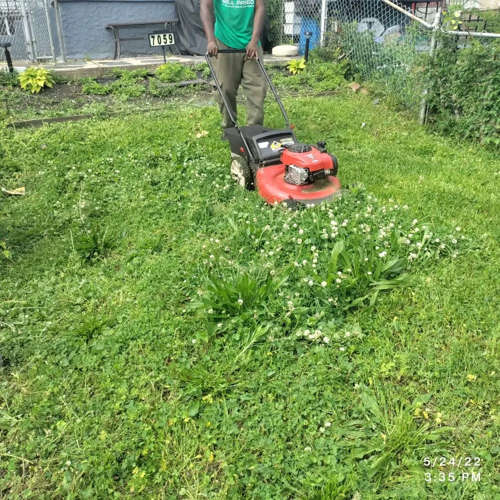 Expert landscape installation experts serving Lindenwold, NJ - Soul Paseo