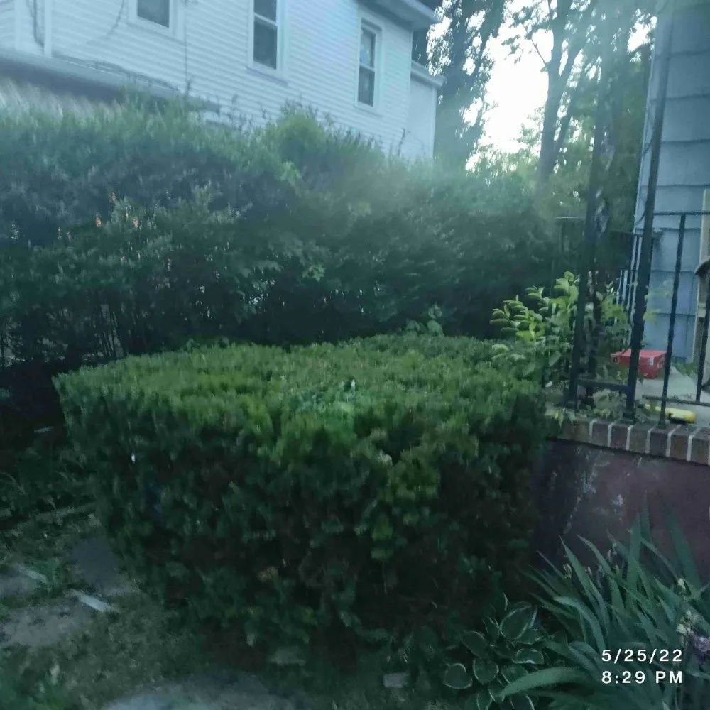 Expert lawn care service near you across Lindenwold, NJ - Soul Paseo