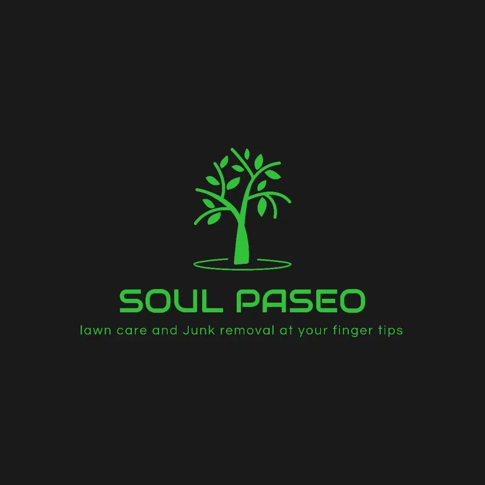 Affordable landscape installation for beautiful yards in Middletown, DE by Soul Paseo