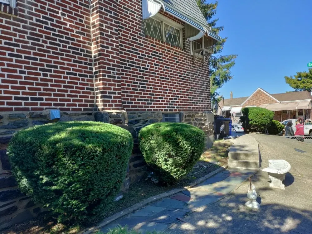 Local yard cleanup service in Middletown, DE by Soul Paseo