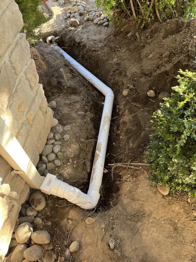 Expert yard cleanup service for year-round maintenance in Lodi, CA by Soul to Soil Landscaping