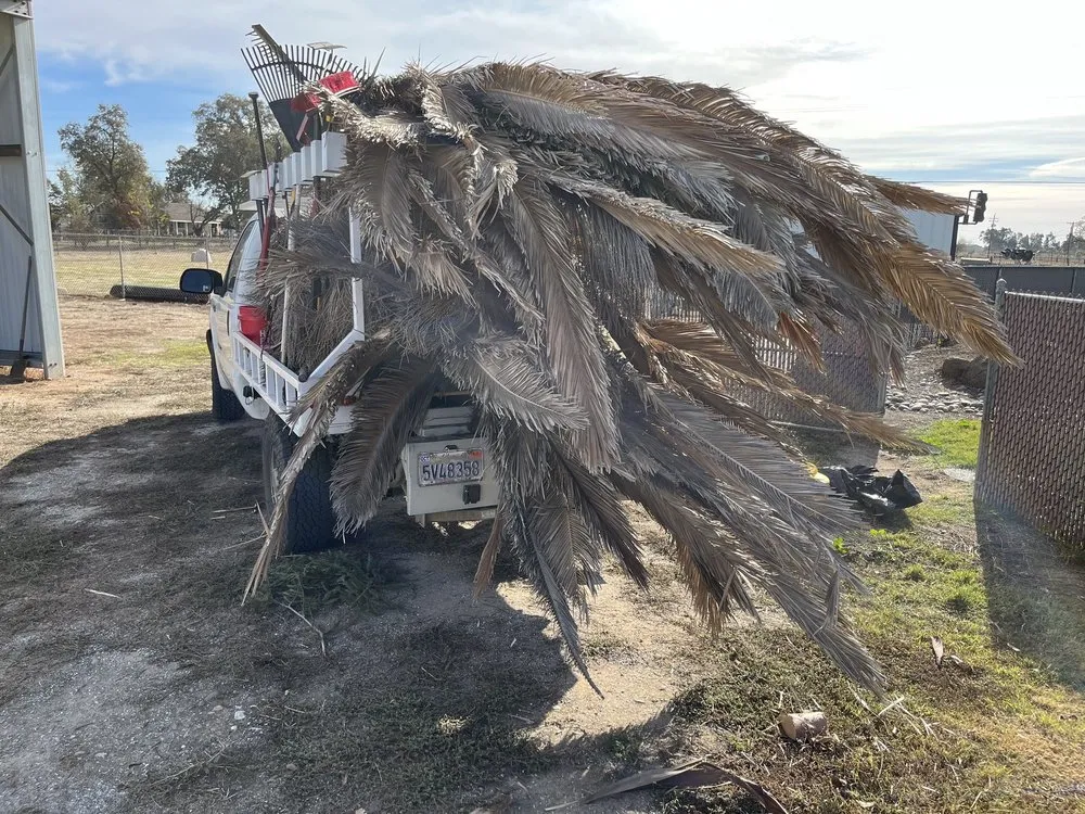 Top-rated landscape installation experts serving Lodi, CA - Soul to Soil Landscaping