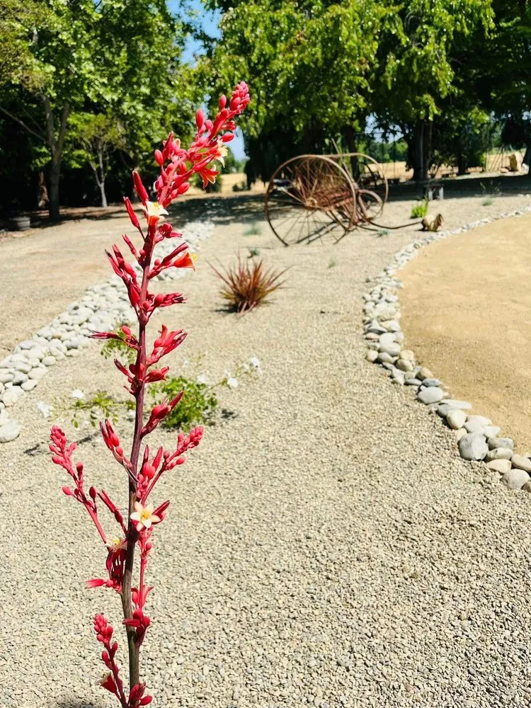 Top-rated landscaping services in Lodi, CA - Soul to Soil Landscaping