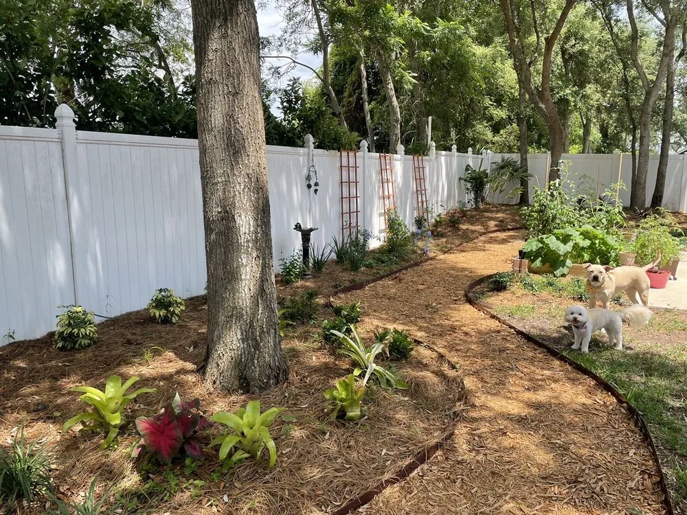 Reliable yard cleanup service experts serving Fernandina Beach, FL - Soular Gardening