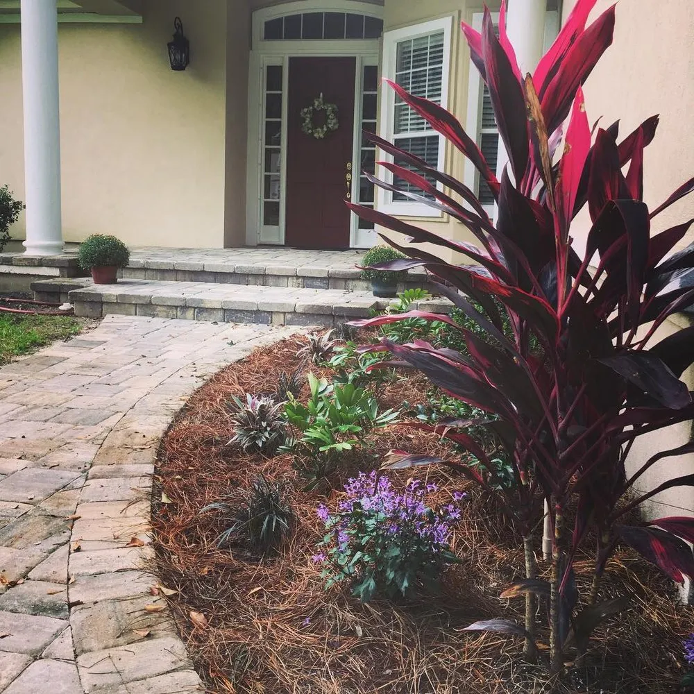 Affordable lawn care service in Fernandina Beach, FL - Soular Gardening