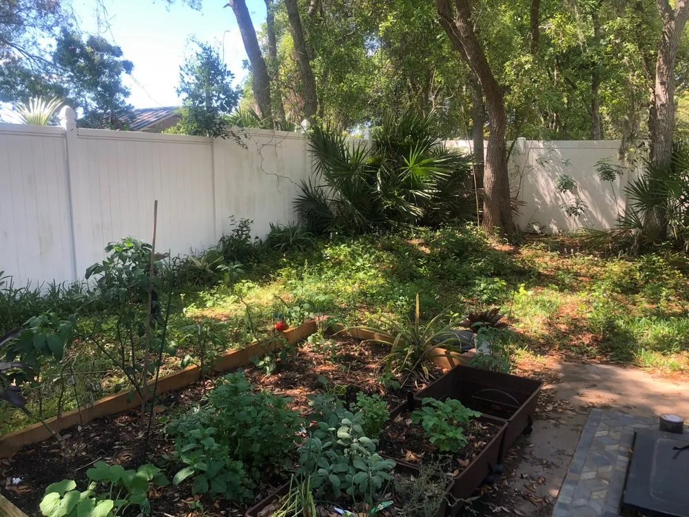 Expert yard cleanup service in Fernandina Beach, FL by Soular Gardening