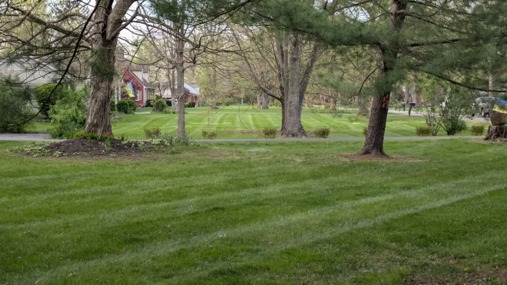 Reliable residential landscaping in Indianapolis, IN by Soulful Ventures