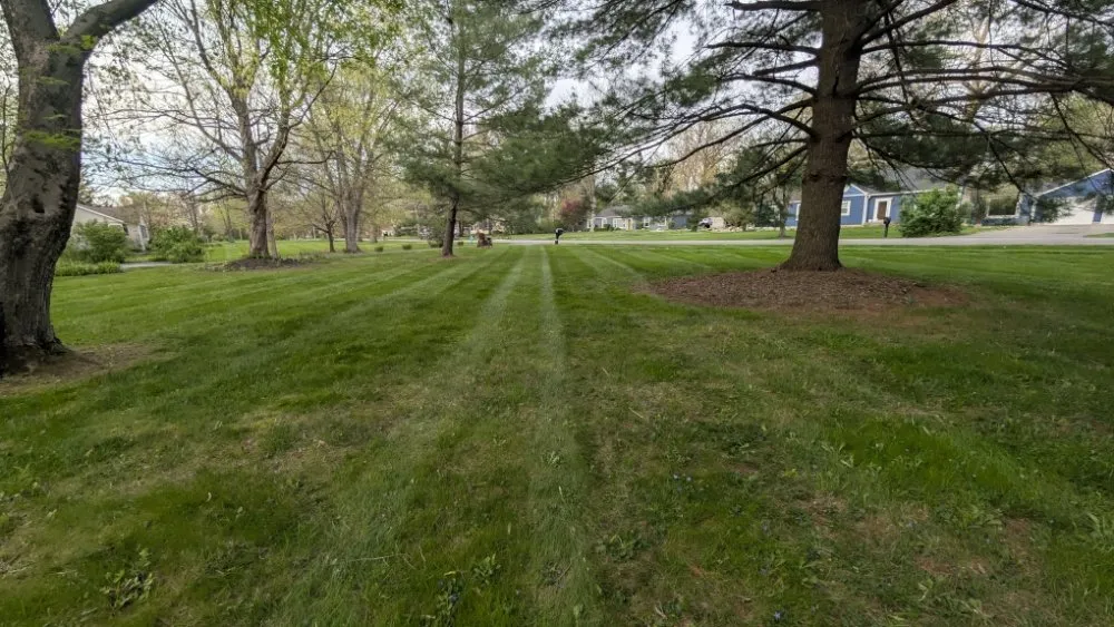 Professional residential landscaping for beautiful yards across Indianapolis, IN - Soulful Ventures