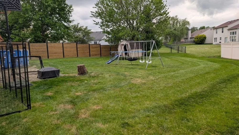 Trusted yard cleanup service with custom design across Indianapolis, IN - Soulful Ventures