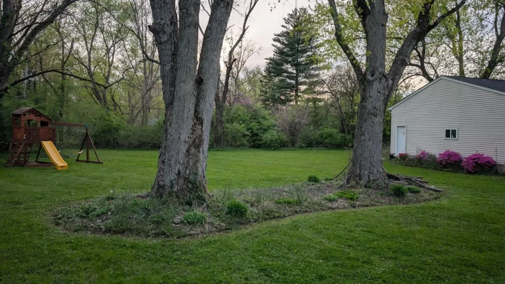 Local landscaping services with custom design in Indianapolis, IN by Soulful Ventures