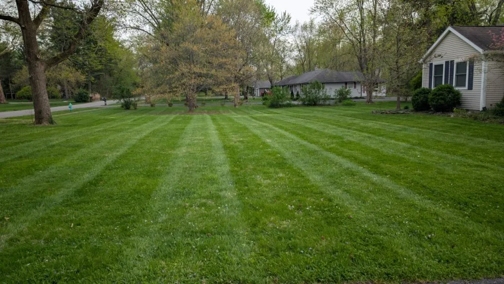 Local residential landscaping for outdoor upgrades across Indianapolis, IN - Soulful Ventures