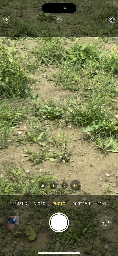 Affordable garden landscaping for homes in Romeo, MI by Soulliere Companies