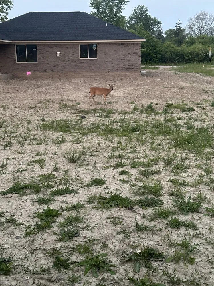 Custom landscape design experts serving Romeo, MI - Soulliere Companies