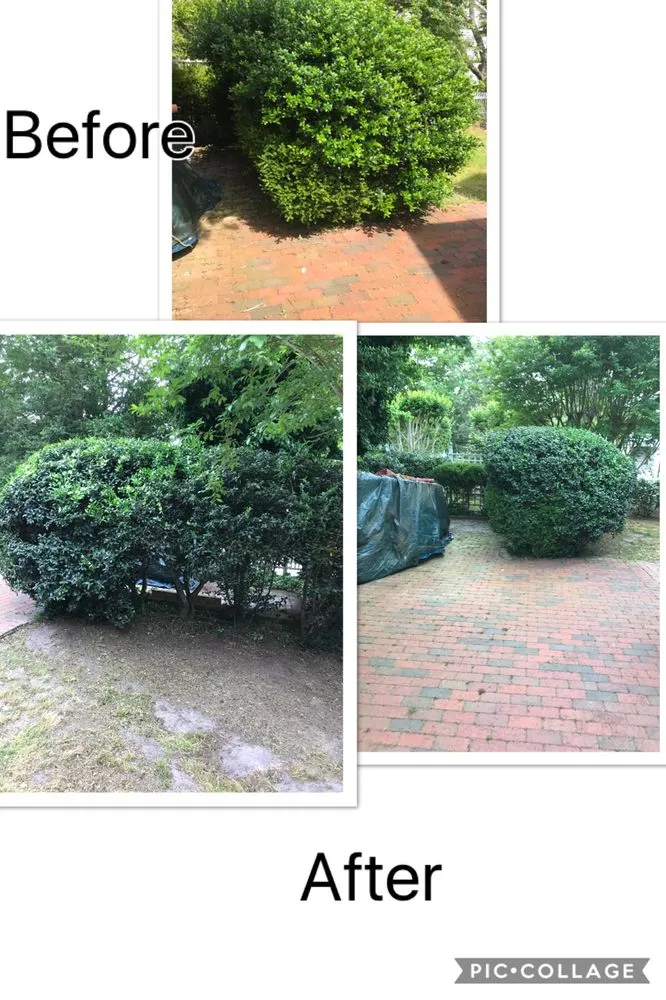 Trusted residential landscaping for year-round maintenance across Newport, NC - Sound Boys Landscaping